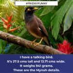 Friday Funny – 17th July