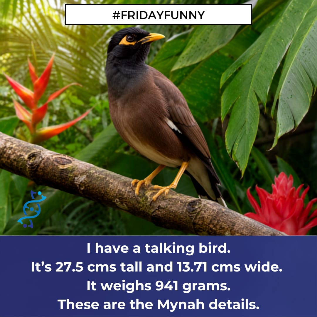 Friday Funny – 17th July